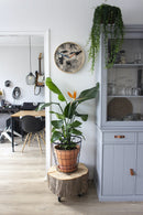 Interior 3230,Tropical Birds,NeXtime,Wood,Wood